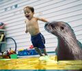 otters love little boys at the pool!