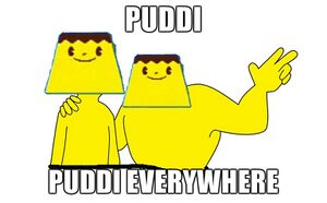 Puddi puddi everywhere.jpg