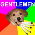 Gentledog