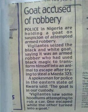 Goat accused of robbery.jpg