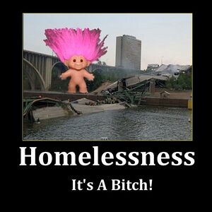 Minneapolis-Troll-Bridge-Collapse-Homelessness-is-a-bitch.jpg