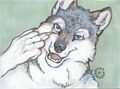 Sibe's fursona is often seen as a husky either flipping people off or bragging about his stolen art