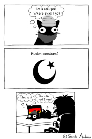 SarahAndersenMuslimCountries.png