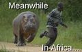 Meanwhile, in Africa