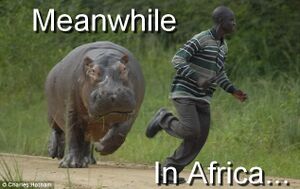 Meanwhile in africa.jpg