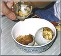 Satisfying and delicious balut totally not lying