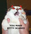 Devil scared kitty.