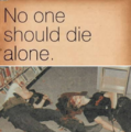 NO ONE SHOULD DIE ALONE