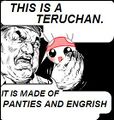 This is a Teruchan ...