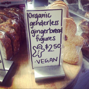 GenderlessGingerbread.png