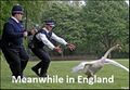 Meanwhile, in England