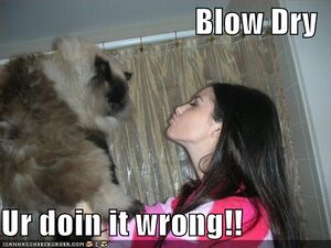 BlowDryUrdoinitwrong.jpg