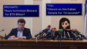 Italian senate tifa.jpg