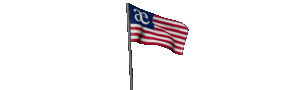 Edf-vi-flag.gif