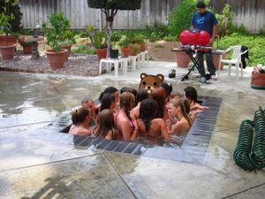 Pedobear in pool.jpg