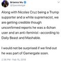 Delusional congresswoman Brianna Wu blaming GamerGate as always.