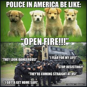 American Cops Essense.jpg