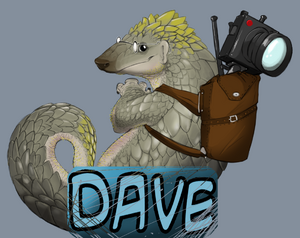 Dave.png