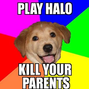 Halo dog.jpg