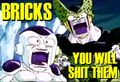 OVER 9000 bricks shat!