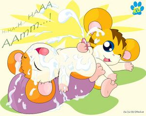 Hamtaro porn.JPG