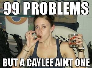 Casey99probs.jpg