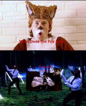 Xanderthefoxmeme.jpg