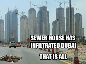 Dubai.jpg