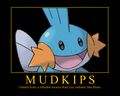 You, Indeed, Liek mudkipz