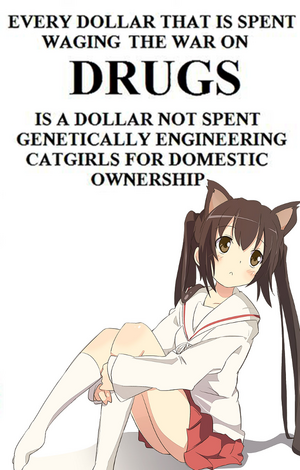 Occupycatgirls.png