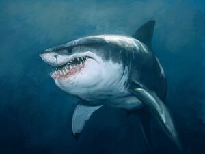 Sharks - Art - 05.jpg