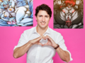 Trudeau loves furry porn. I mean, REALLY loves it!