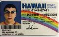 Hawaii Driver license