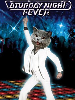 Caturdaynightfever.jpg