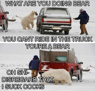 Telling a fucking bear what to do is generally a bad idea