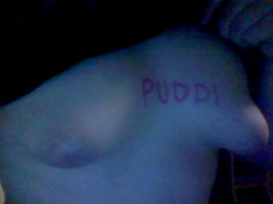 Puddtits23.png