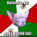 Advice Chihuahua supports Encyclopedia Dramatica.