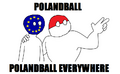 Polandball