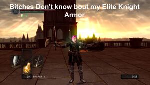 Bitchesdontknowboutmyeliteknightarmor.jpg