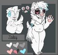 Newest fursona linked to her newest account, Zailey.