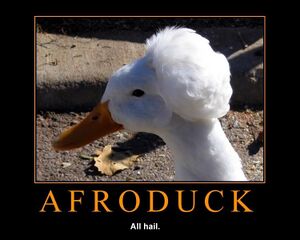 AfroDuck.jpg