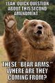 Bears also are very curious with the gun control topic.