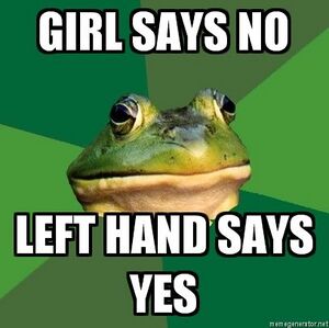 Foul bachelor frog7.jpg