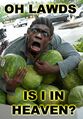 Typical nigger reaction upon seeing watermelonz.