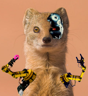 WeaselBot.png