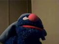 Grover wears a towel on his head since parker uses him as a buttplug.