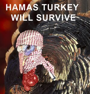 Hamas turkey.jpg