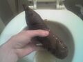 A blonde has found a brown dildo in her toilet!...Nevermind...it's just a piece of shit.