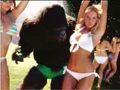 RAPE APE with a few victims, partying.