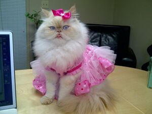 Barbie - Pets - 01.jpg